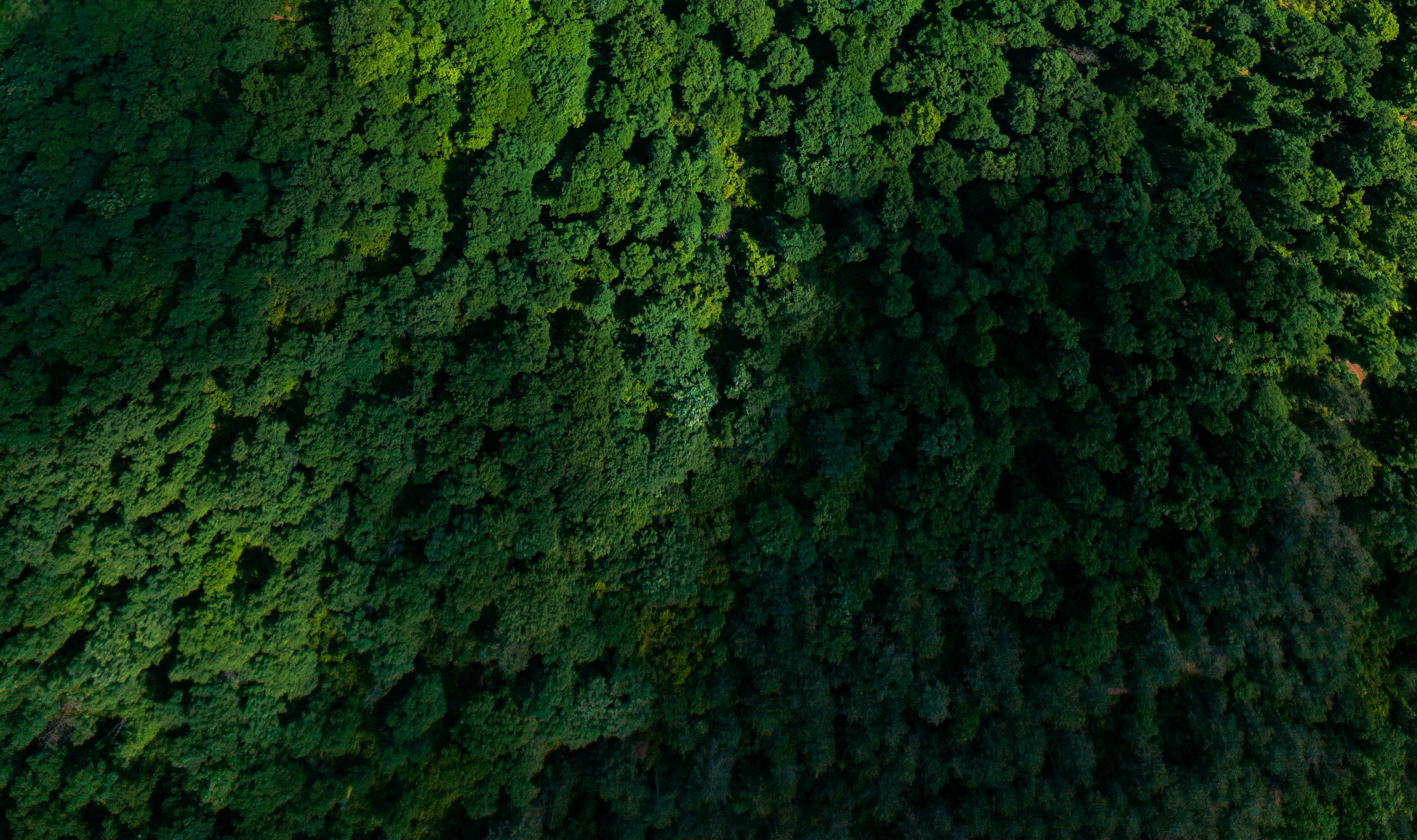 Performance Training