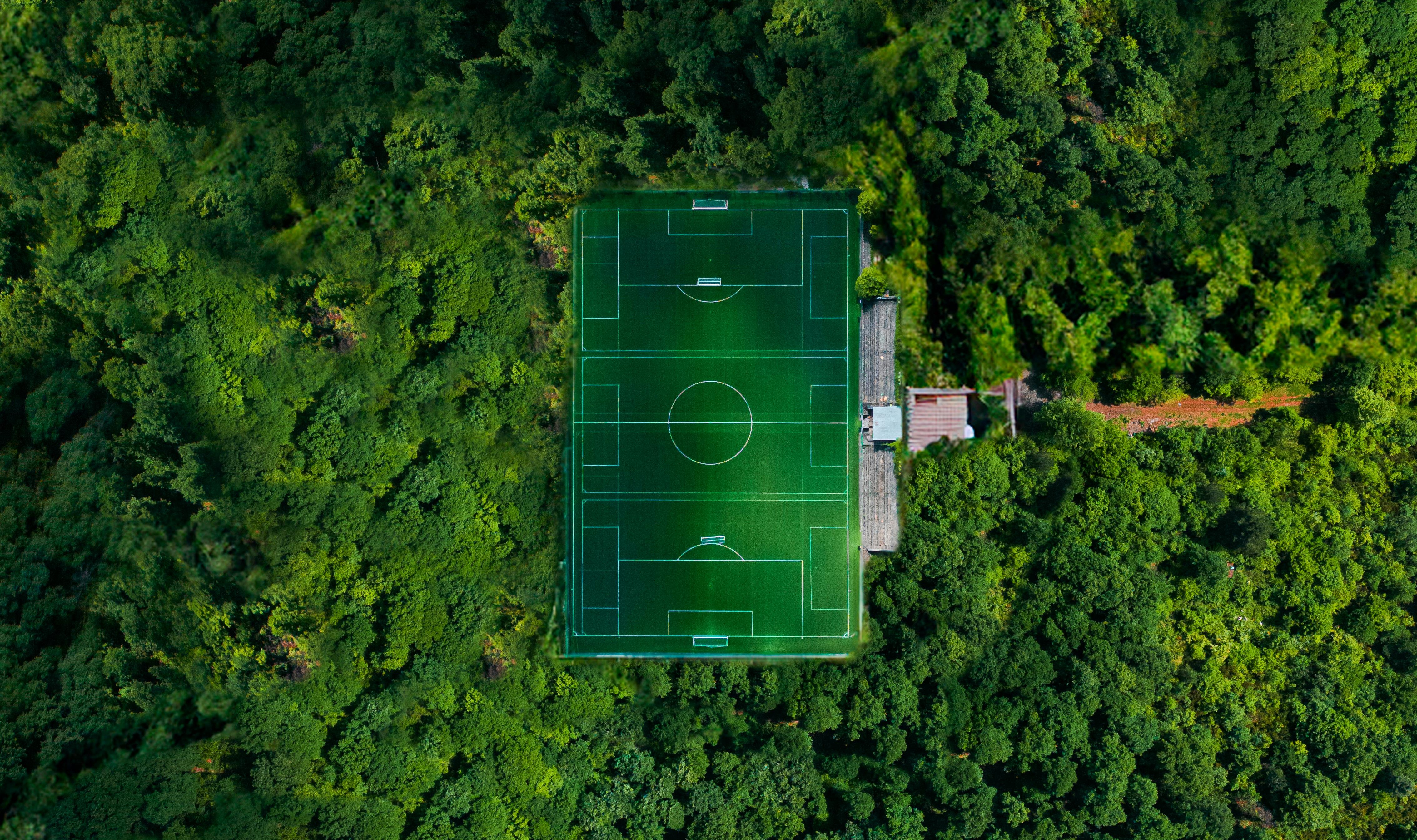 Performance Training