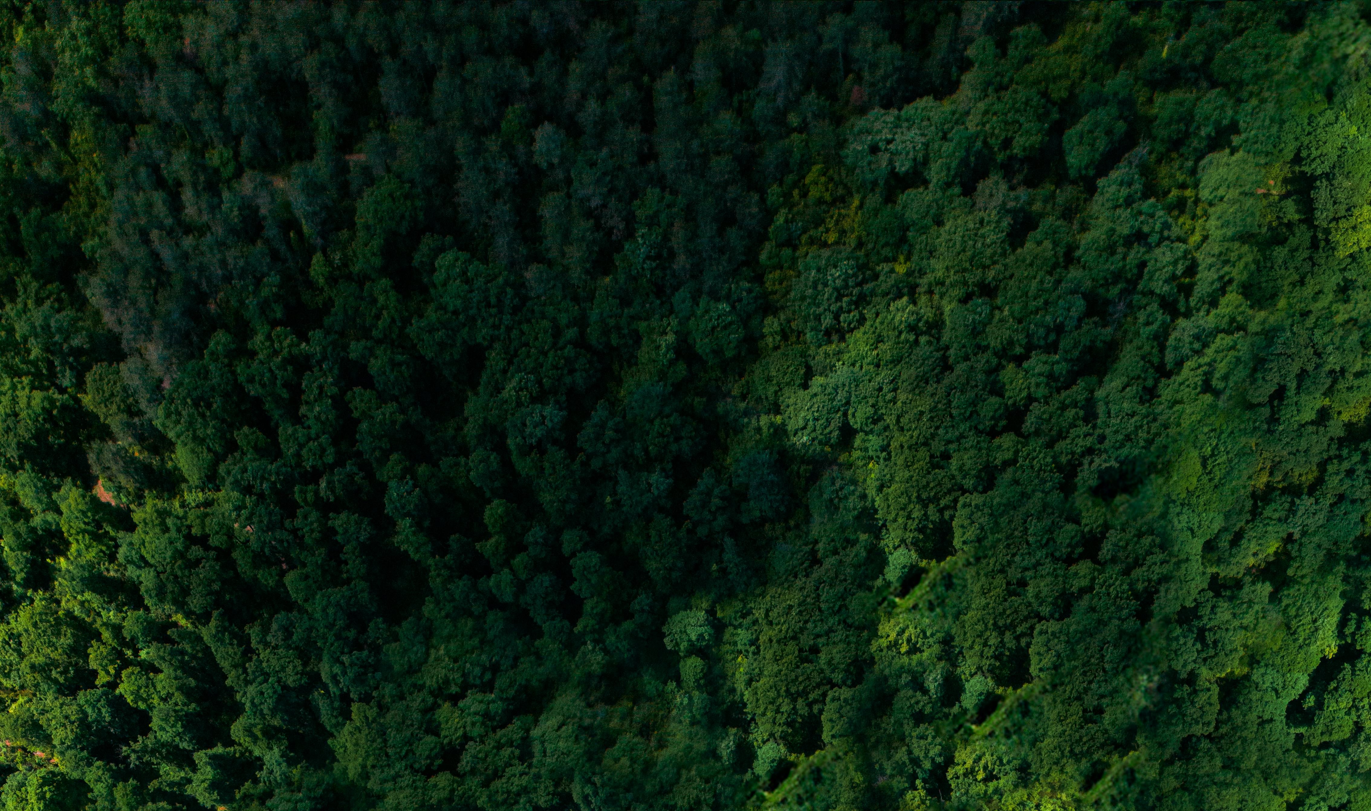 Performance Training