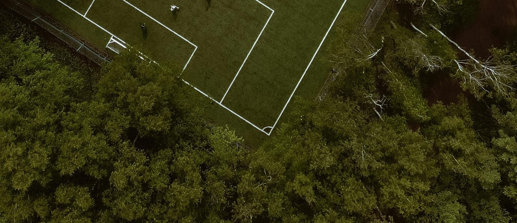 Performance Training