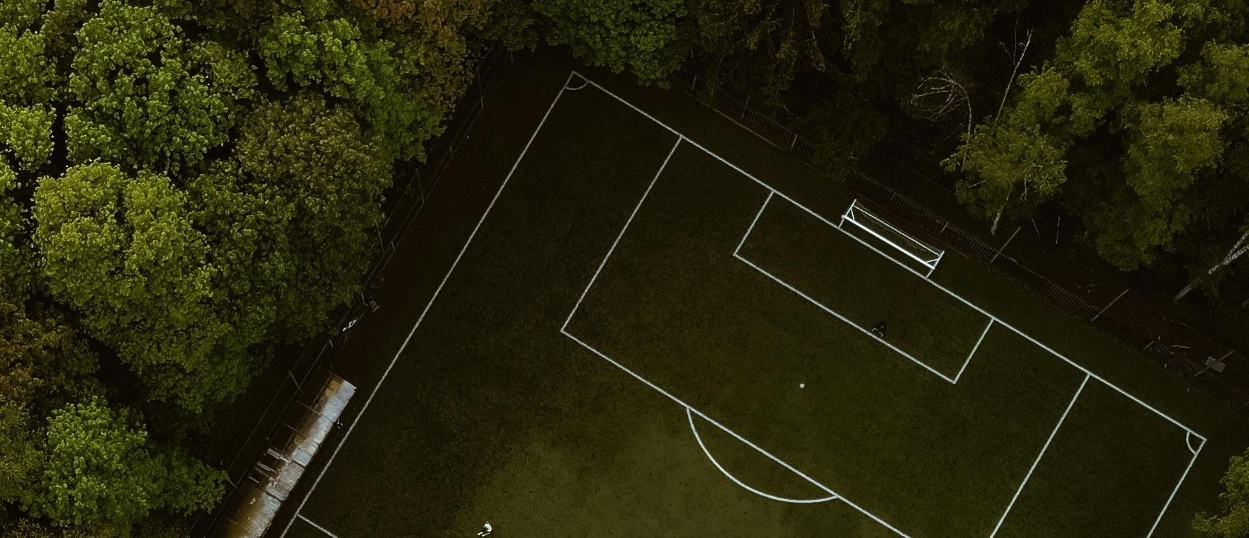 Performance Training