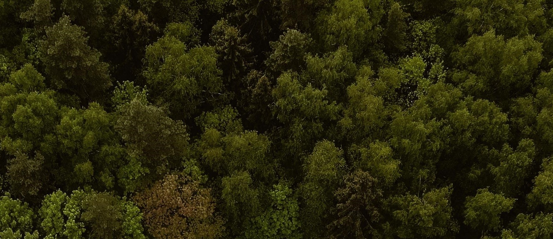 Performance Training